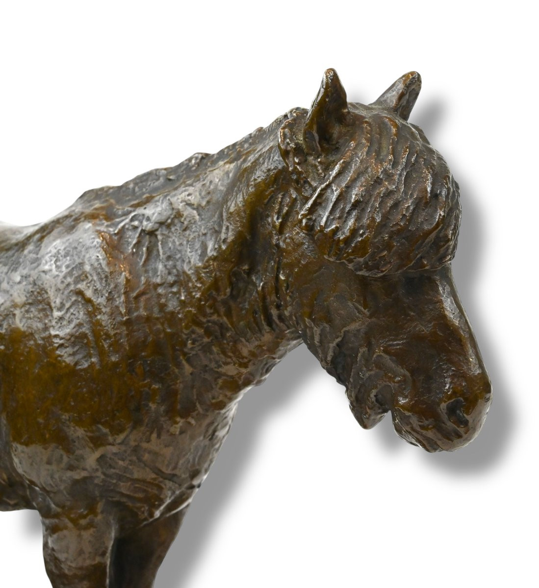 Agnes Lunn - Pony in Bronzo - Danimarca - Inizio XX Secolo-photo-4